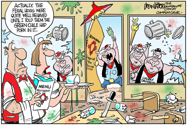 hawgsontheloosecolornew