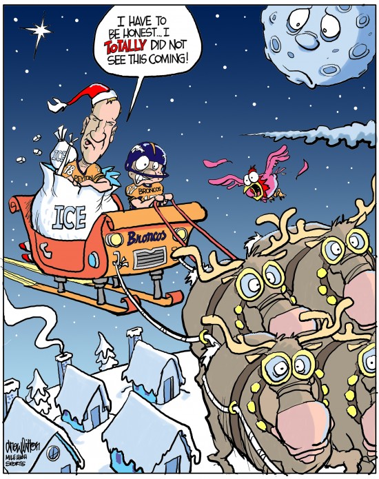 manningbrocksleighridecolor